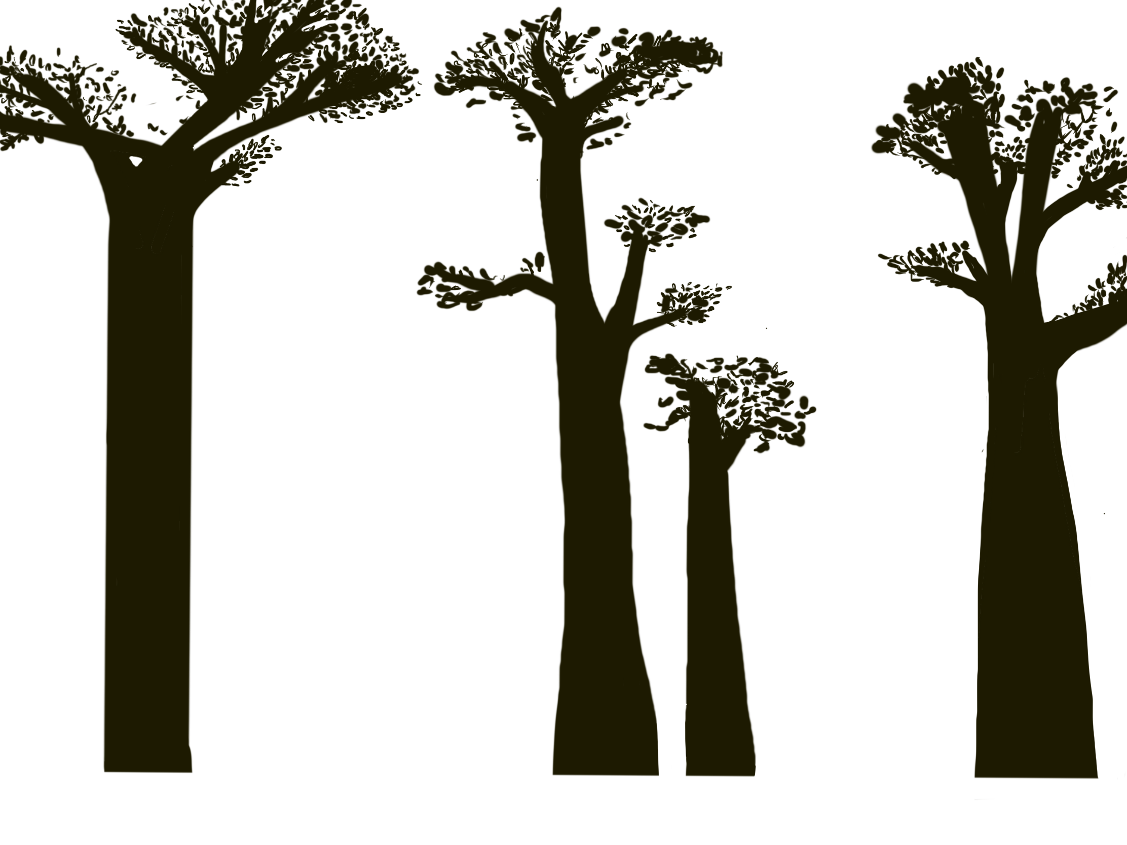 Big and dark trees