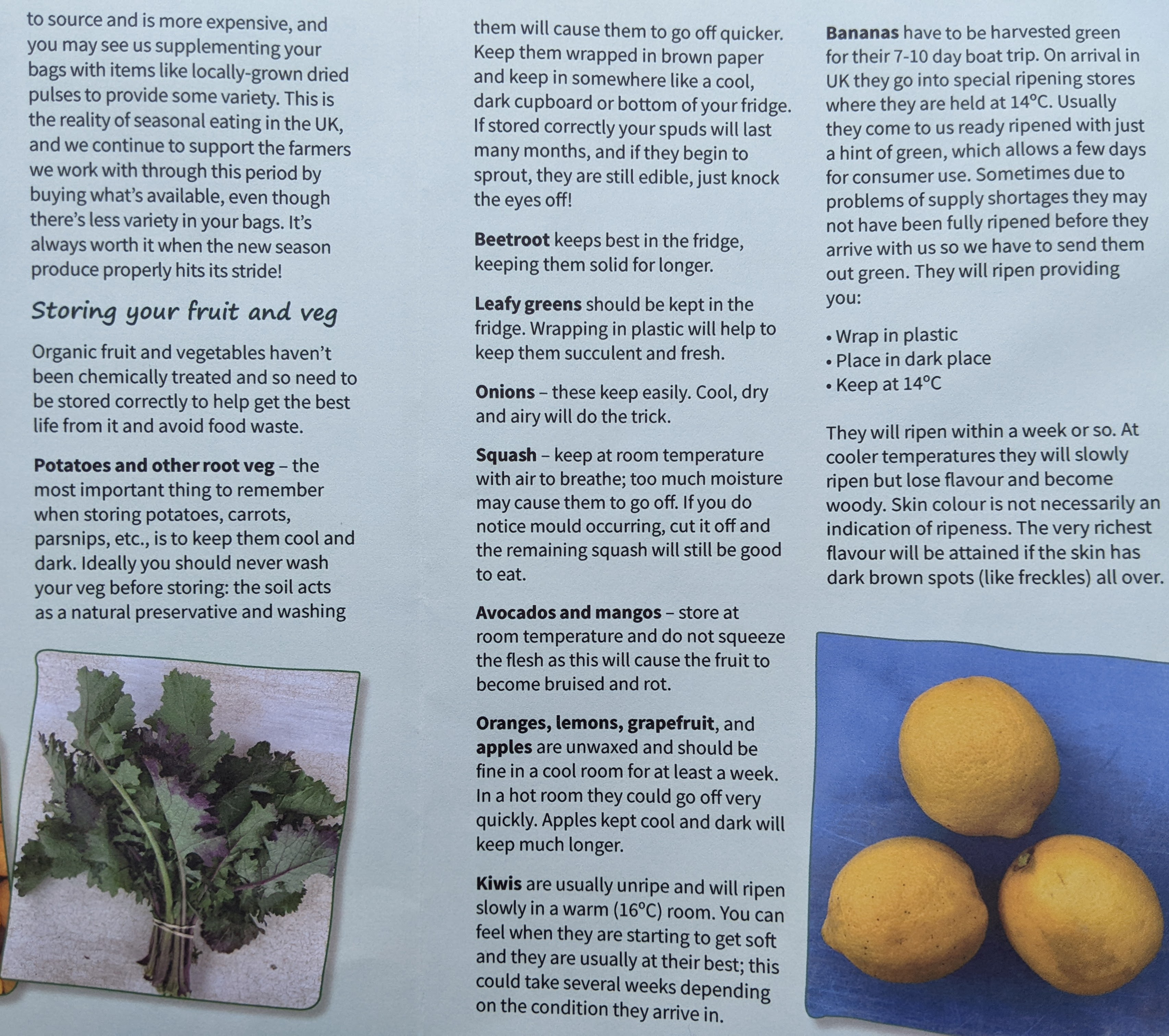 Storing your fruit and veg (print version)